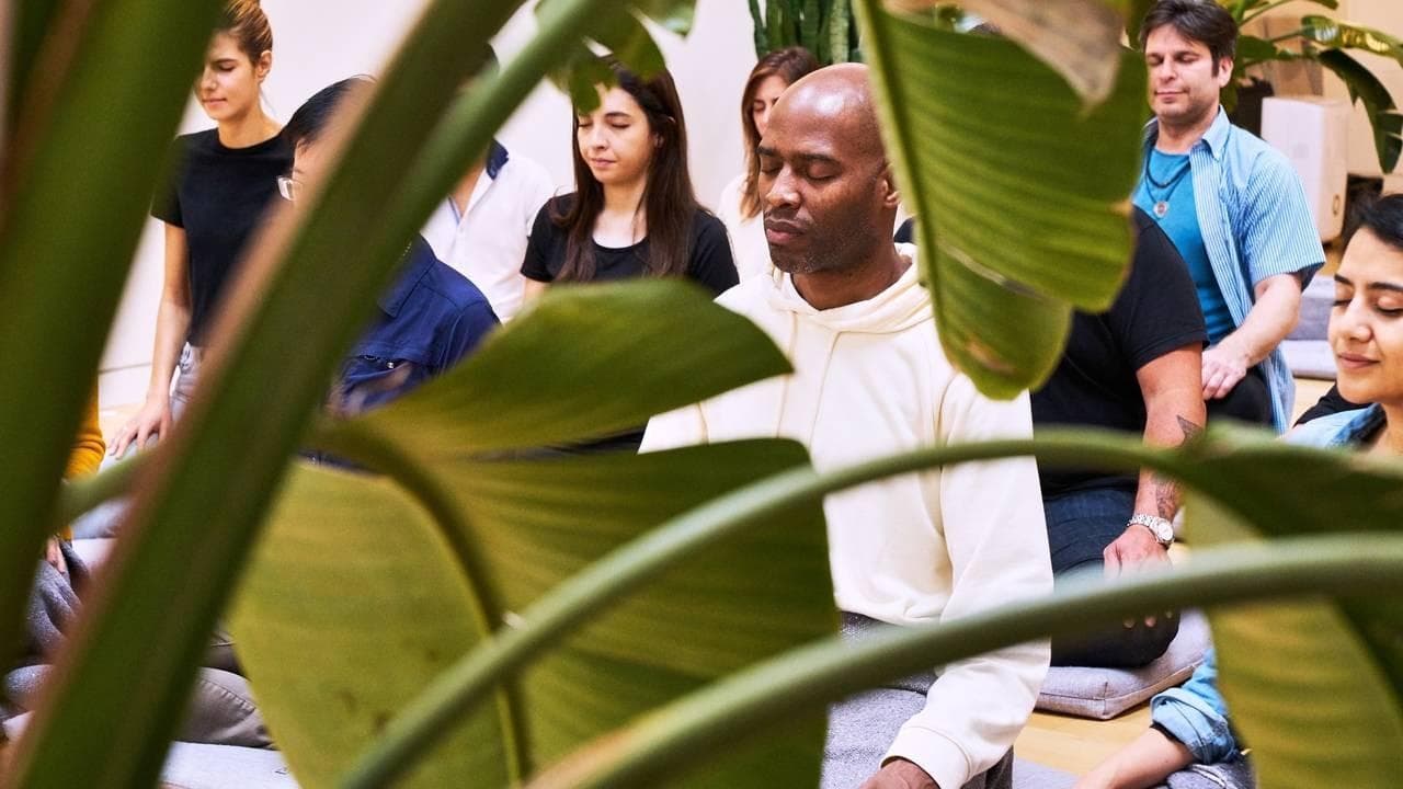 Meditation or Breathwork at The Well or MNDFL