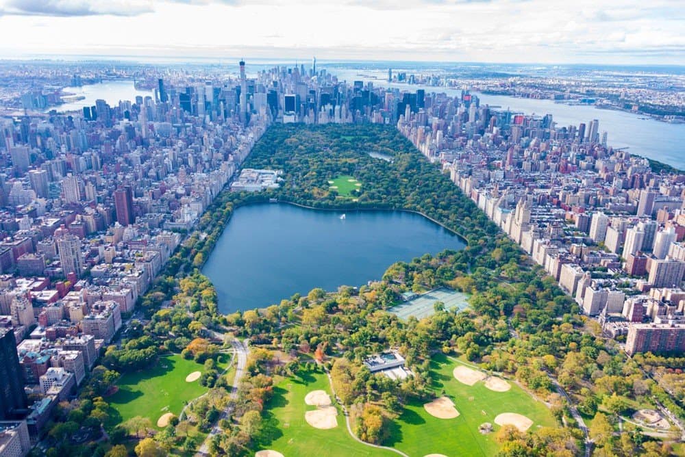 Group Workout in Central Park or McCarren Park