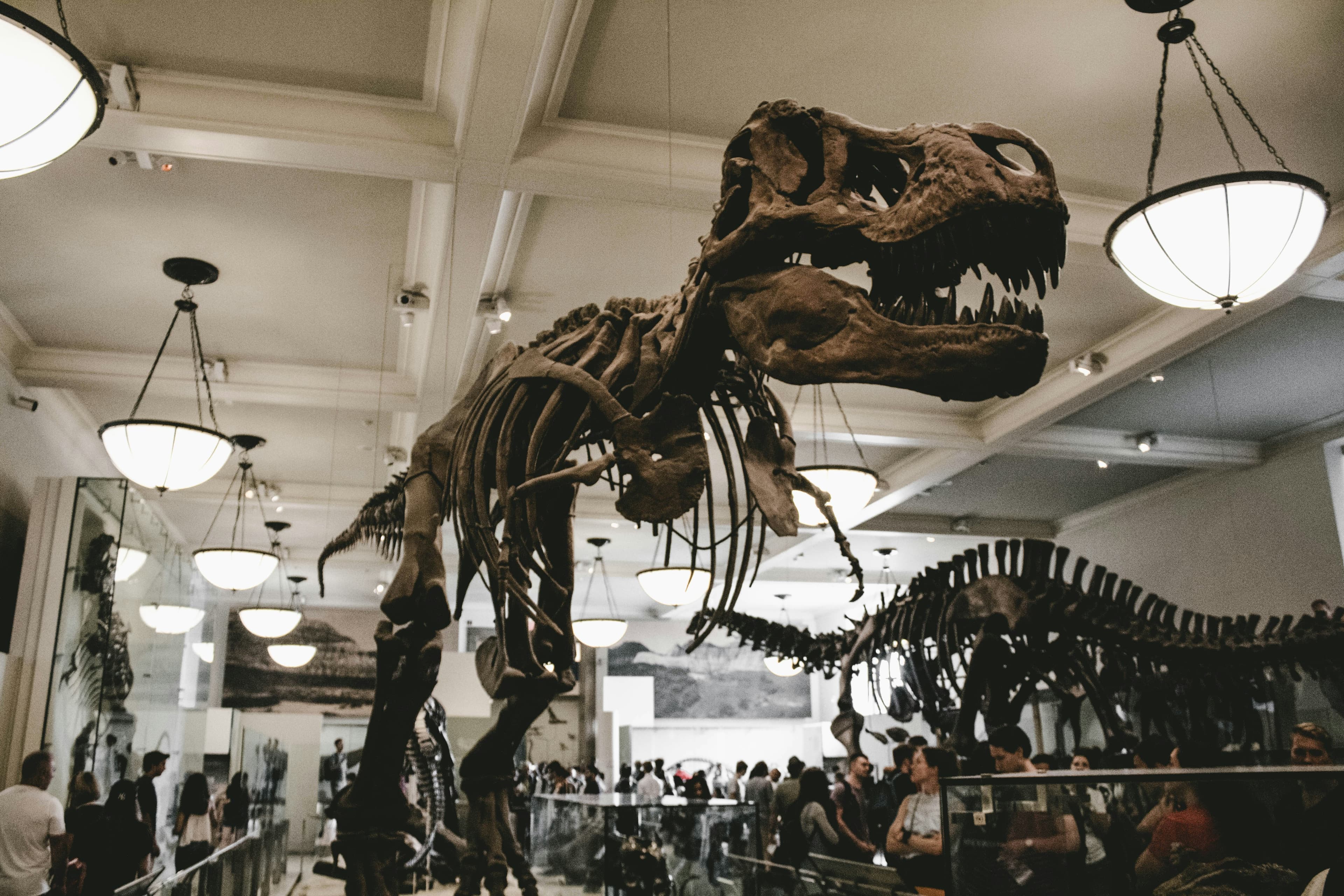 History Museums