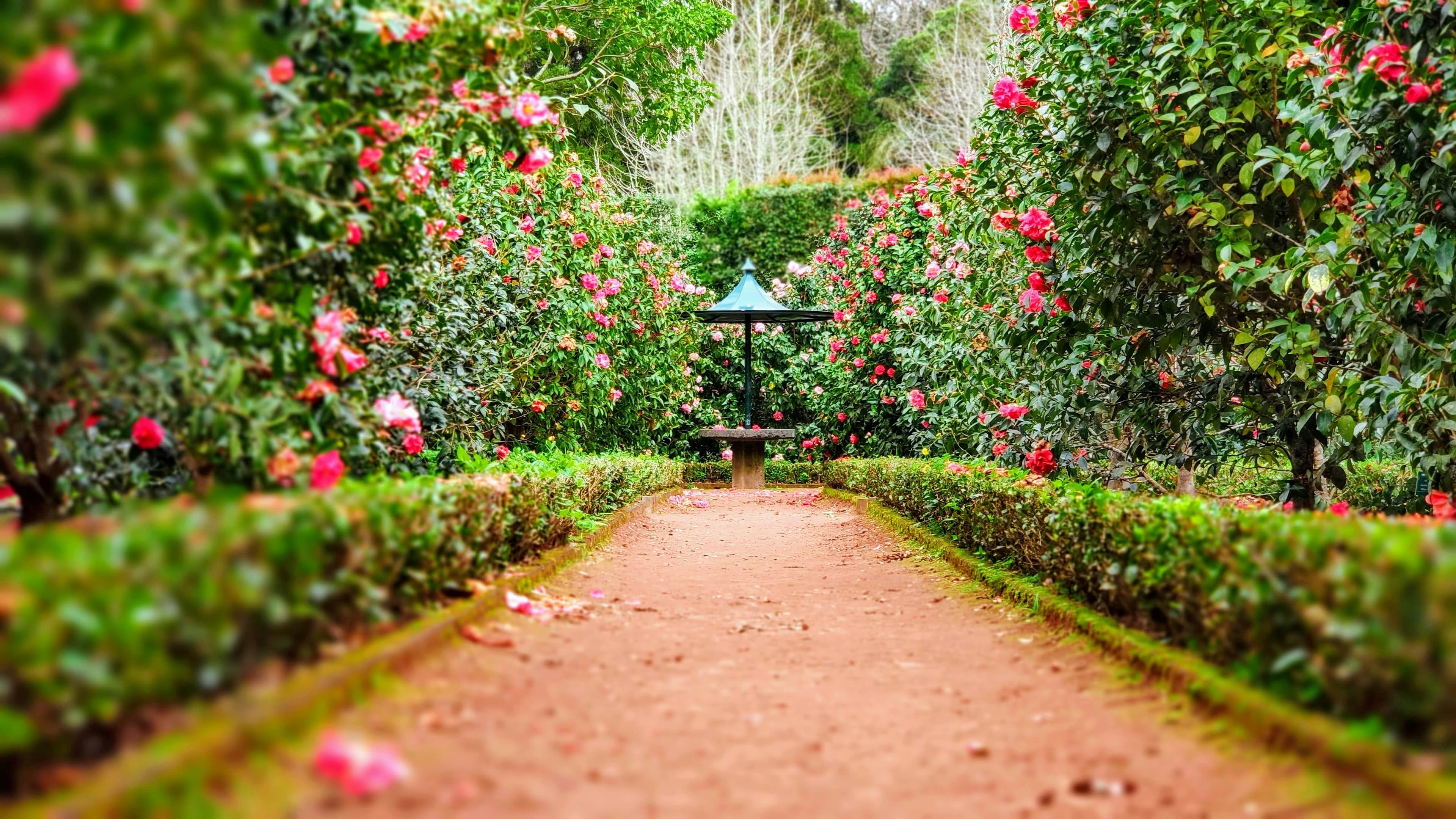 Hidden Garden Gems