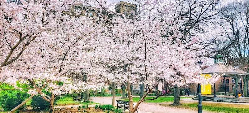 Sakura Park