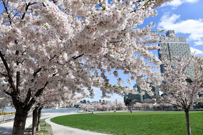 Hunter's Point South Park