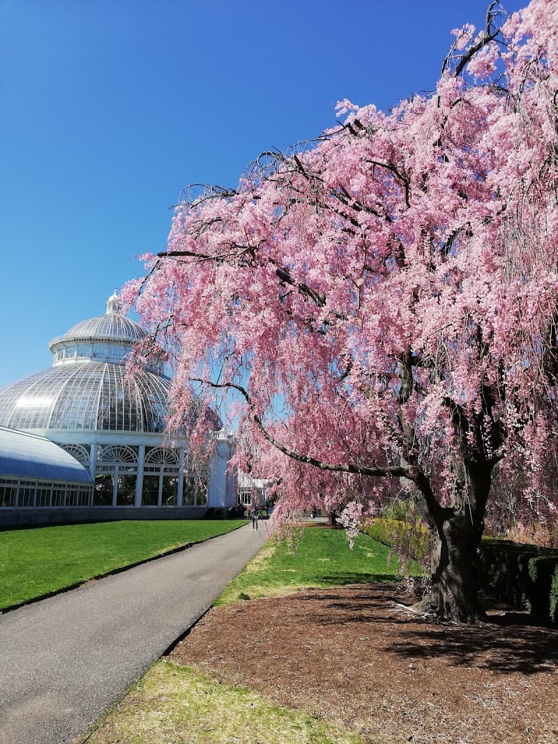 New York Botanical Garden
