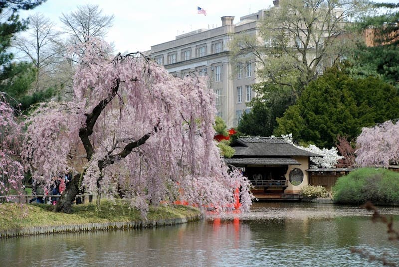 Japanese Hill-and-Pond Garden